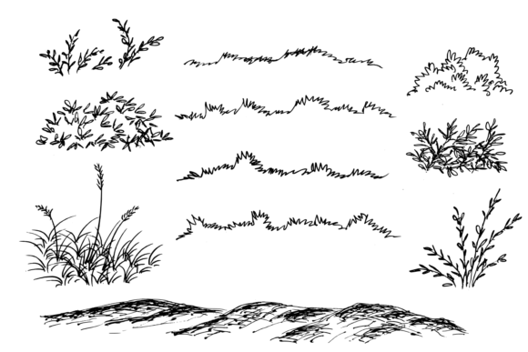 Download Hand Drawn Grass and Bush - Hand drawn grass Collection