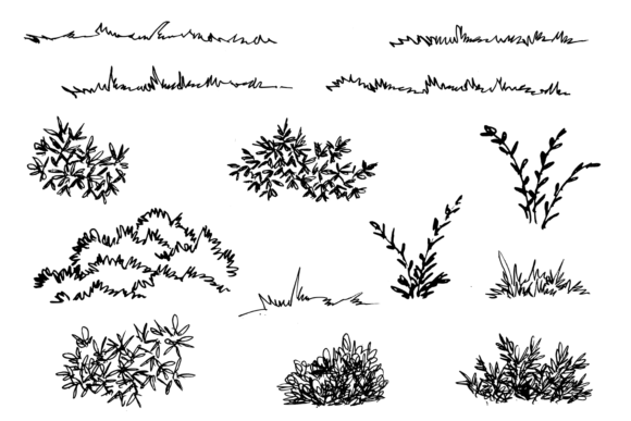 Download Hand Drawn Grass and Bush. Grass Sketch - Hand drawn grass Collection